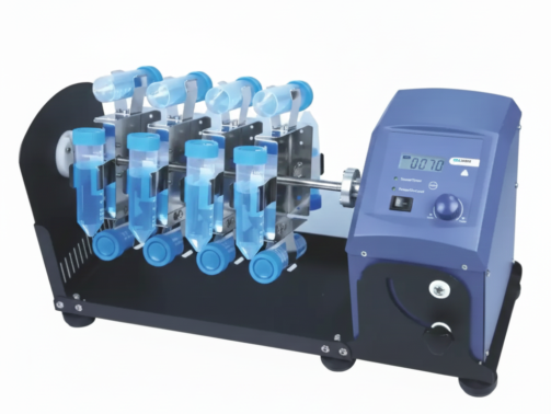 Gemini_Generated_Image_j8xhz1j8xhz1j8xh